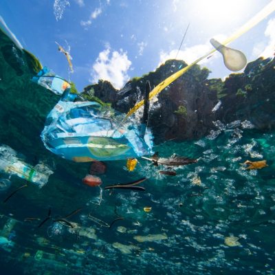 Plastics on the surface